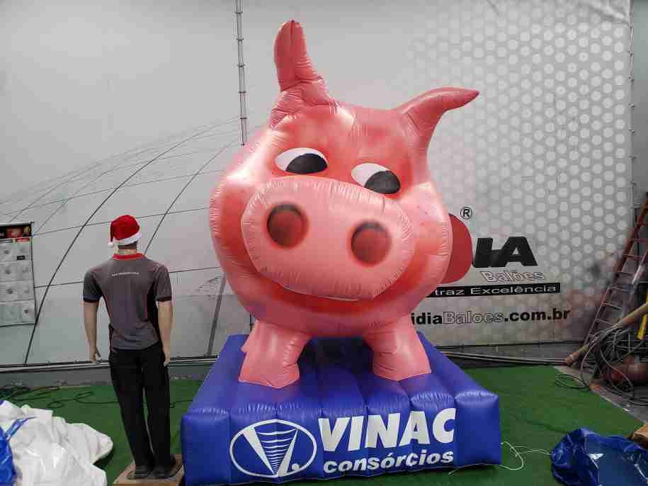 mascote inflavel em Cuiaba Mato Grosso