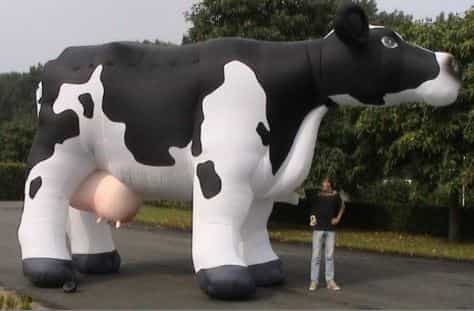 Mascote Inflavel em Curitiba Parana