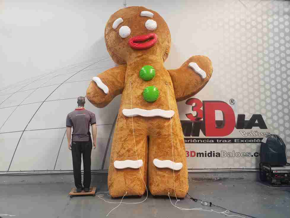 Mascote Inflavel em Brasilia Distrito Federal