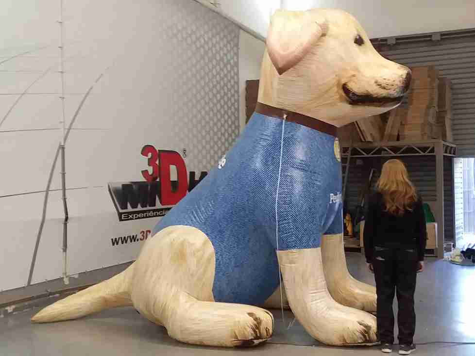 Mascote Inflavel em Florianopolis Santa Catarina